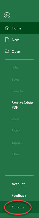 Excel File Menu Options Selection