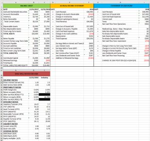 Screenshot of the HQN CFS Template in MS Excel